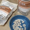 퓨어도그(Pure dog) 이미지