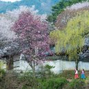 덕천농장 이미지