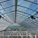 비에스팜 이미지