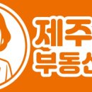 제주동네부동산중개 이미지