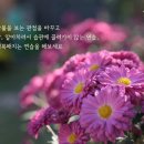 행복해지는 연습 / 법륜 스님 이미지