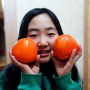 정자농원 이미지