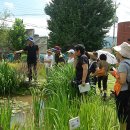 한림디자인고등학교 이미지