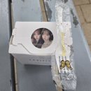 셀레브레이션 | 르세라핌 셀레브레이션 1주차 사녹후기(무인+엠카까지)