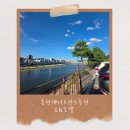남산강변로 | 특실만 좋은 줄 알았죠? 준특실도 충분히 만족스러웠던 홍천 LK호텔 후기