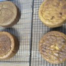 반려동물 케이크만들기 이미지