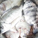 늑도방파제 이미지