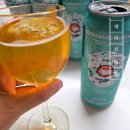 지에스25 운정한울공원점 | GS 편의점 히타치노네스트 신상 핫템 l 지드래곤맥주 '데이지에일'