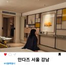 포근룸 수영 | 호캉스 숙소 추천 안다즈 서울 강남 트윈룸 수영장 수영강습 후기