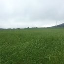 우사랑동물병원 이미지