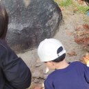 유림-1031 이미지