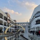 펫아울렛 이미지