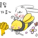 머슬팩토리24 진주혁신 이미지