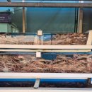 덕성호수산 이미지