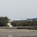 암소농장 이미지