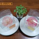 루덴스랩 이미지