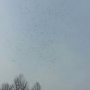 활공농장 이미지