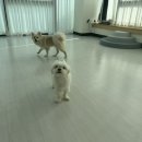 포그니유치원 이미지