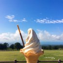 강수목장 이미지