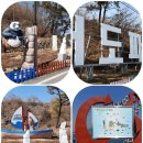 대도관광