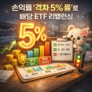다우비 | TIGER·KODEX·SOL·ACE 미국배당다우존스 ETF 손익률 격차 5% 룰로 리밸런싱 후기