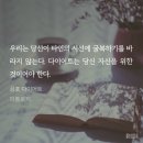 쩡이네