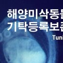 이화여자대학교 자연사박물관 이미지