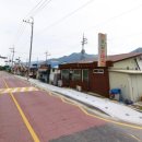 대광리 은행나무 이미지