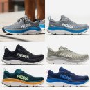 가비오타(GAVIOTA) 이미지