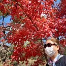 양동한의원 이미지