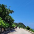 후포고여사민박 | 제주도 추자도 여행 추자도 용둠벙 전망대, 최고의 비경 나바론 절벽, 나바론 하늘길을 걷다. 2023...