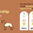 독핏 - 강남구 강남대로140길 26 | 독핏
