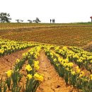 선도보건진료소 이미지