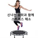 살빼는집