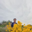 사계절화원 - 서구 경명대로 652 | 사계절화원