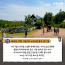 정치07 | [캐나다 여름휴가 추천지] &#39;파란여행&#39; PEI &amp; 대서양 일주 6박7일 여행 후기(2025. 07. 12)