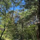 제1코스 | [강원 횡성/평창] 청태산 등산후기 ｜제1코스 왕복 최단코스 정보 및 주차 팁 (강원 20대 명산)