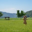봄뜰어린이집 | 5월 부산 근교 가볼만한곳 밀양 산외면 해바라기 꽃단지 청보리밭