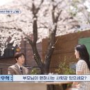 스타일쩌네 이미지