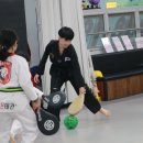 라이온태권도 이미지