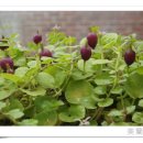 옹기의 만남 이미지