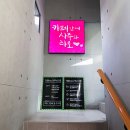 카페안에사주와타로