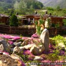 산중펜션 이미지