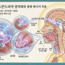 혀끝와유 이미지