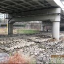 성북천교 이미지