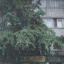 25시슈퍼 이미지