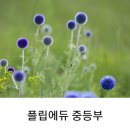황현영어학원
