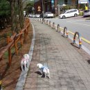 바람불어 좋은날 이미지