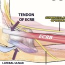 첨단제일의원 이미지