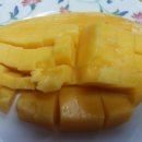 모녀청과 이미지